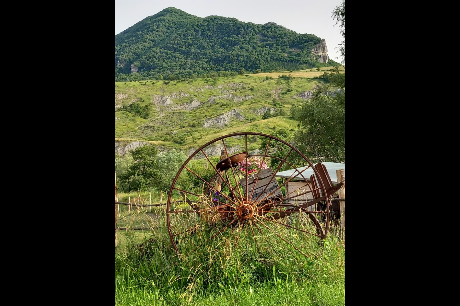 Vista sul Vigese dall'Albero della Vita