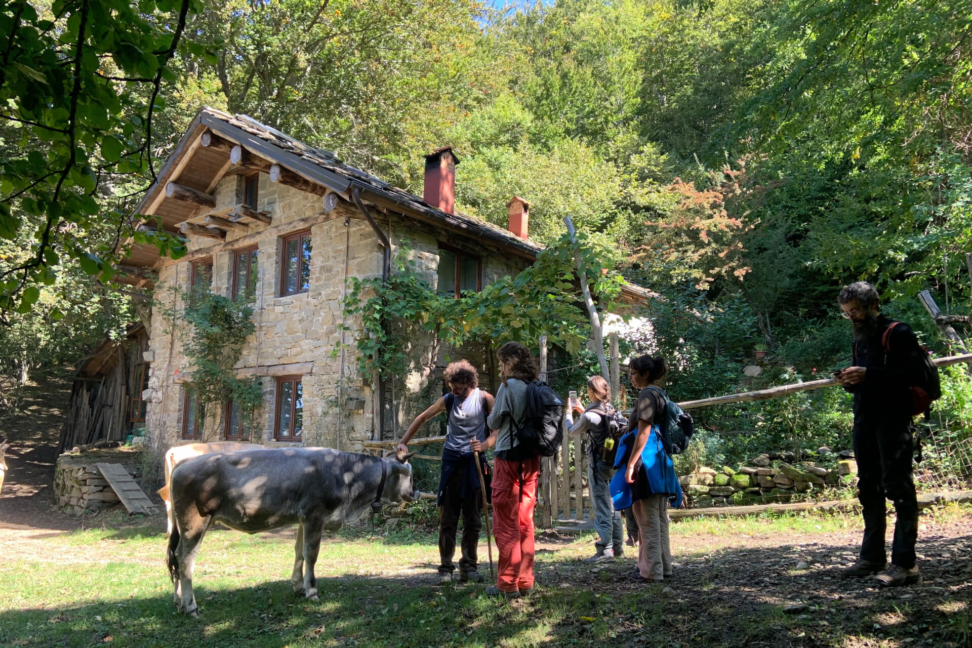 Passi di Quiete - Appenninica - Seconda Edizione - Cerchiaia