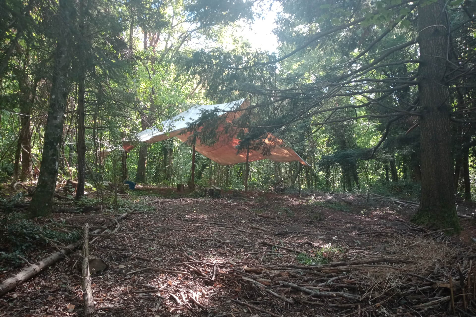 Tenda nel bosco a CiriceA