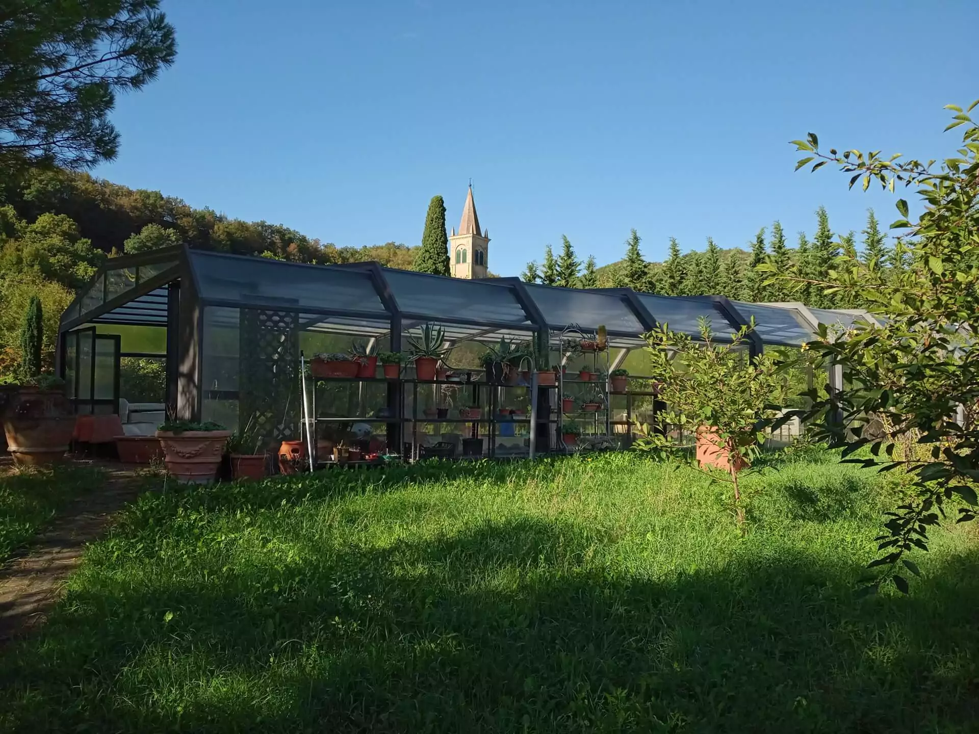 Jana - Giardino del Sole - Vivaio
