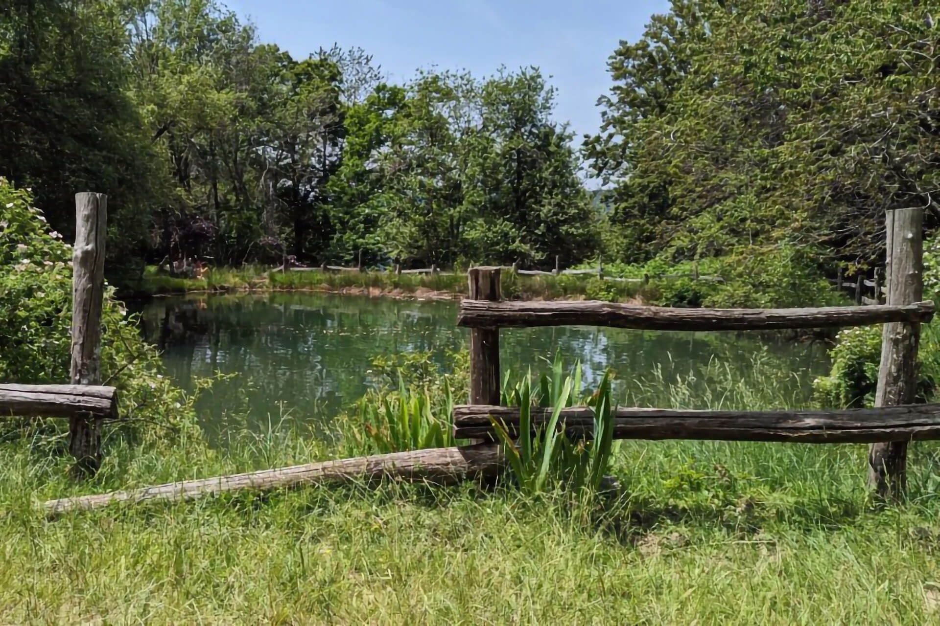 Passi di Quiete - Appenninica - Seconda Edizione - Laghetto in Valle degli Elfi