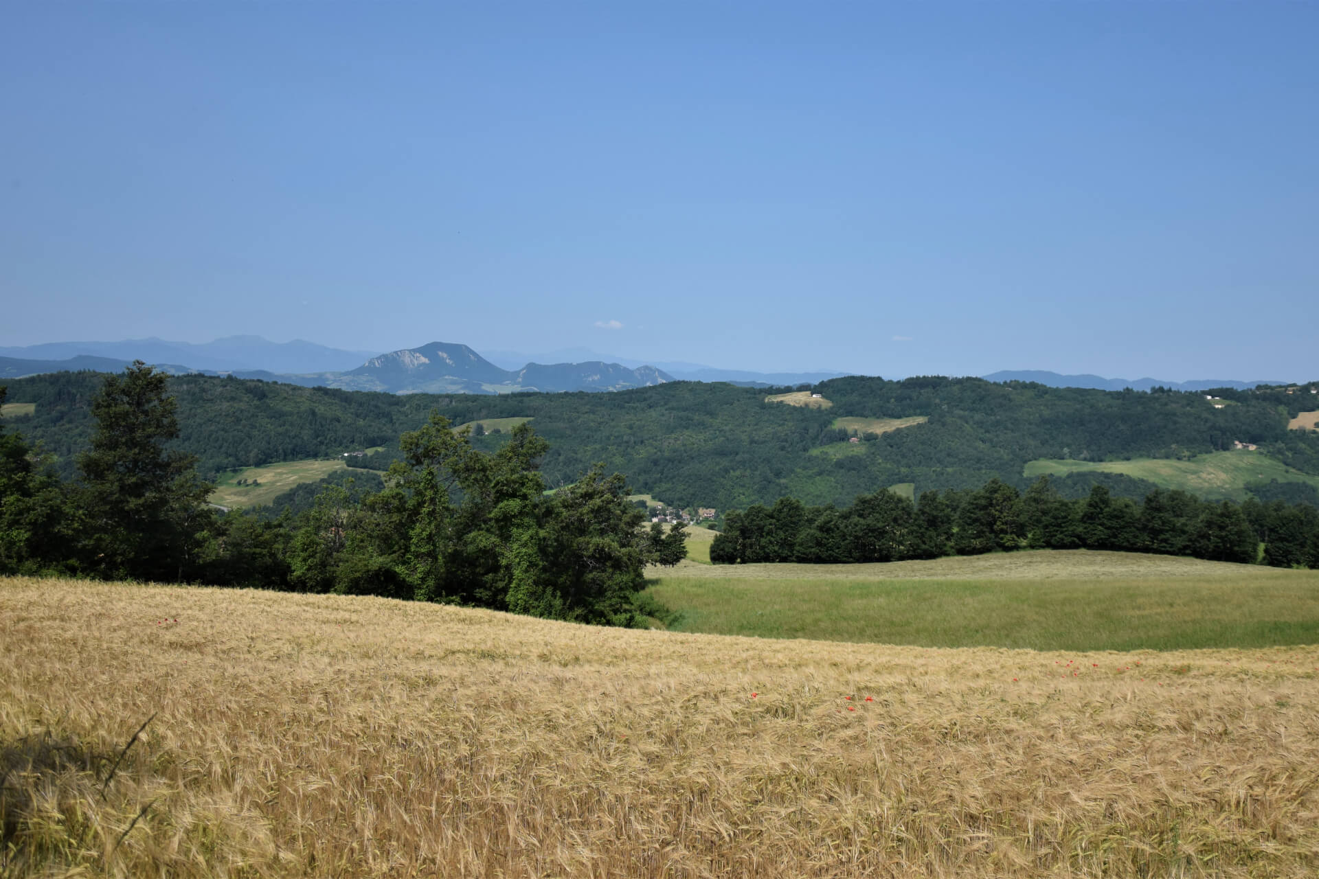 Passi di Quiete - Appenninica - Seconda Edizione - Panorama sul Vigese