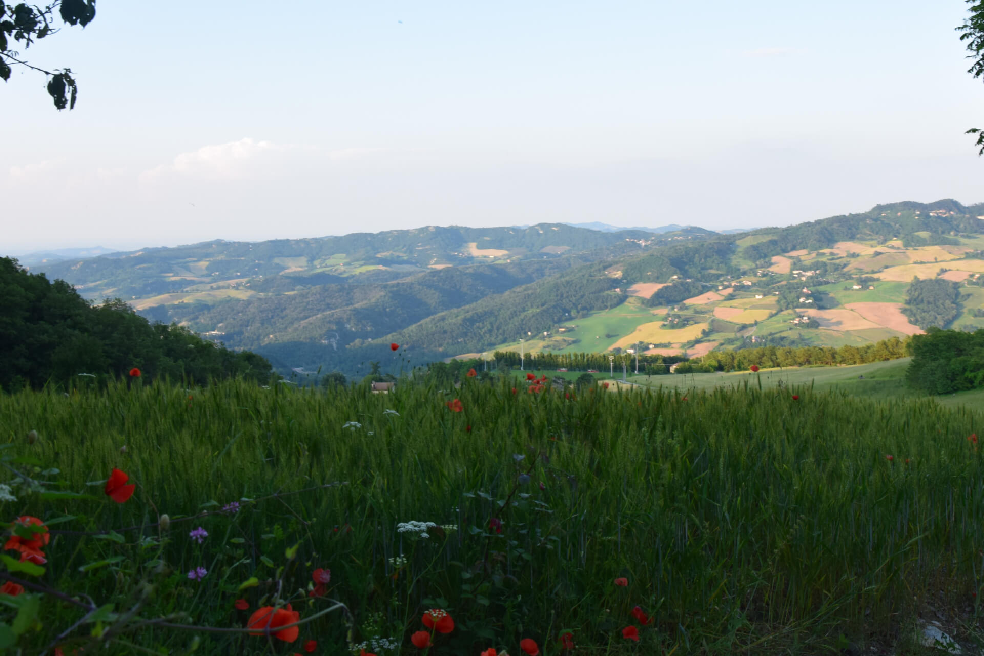 Passi di Quiete - Appenninica - Seconda Edizione - Panorama appenninico