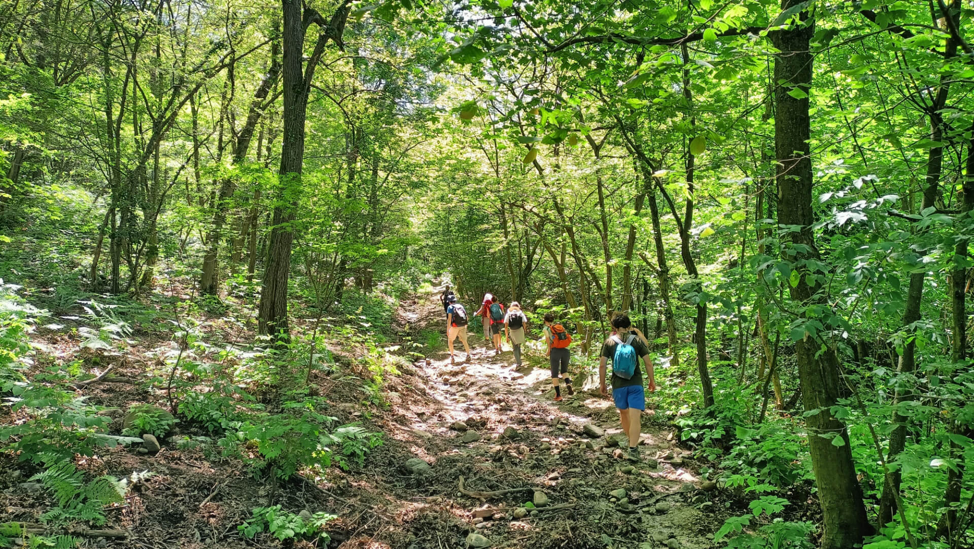 Parco della Maddalena