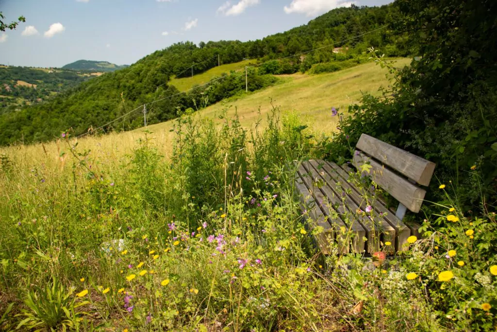 Passi di Quiete - Seconda Edizione - Meraki - Panorama - Foto Maya De Bernardi