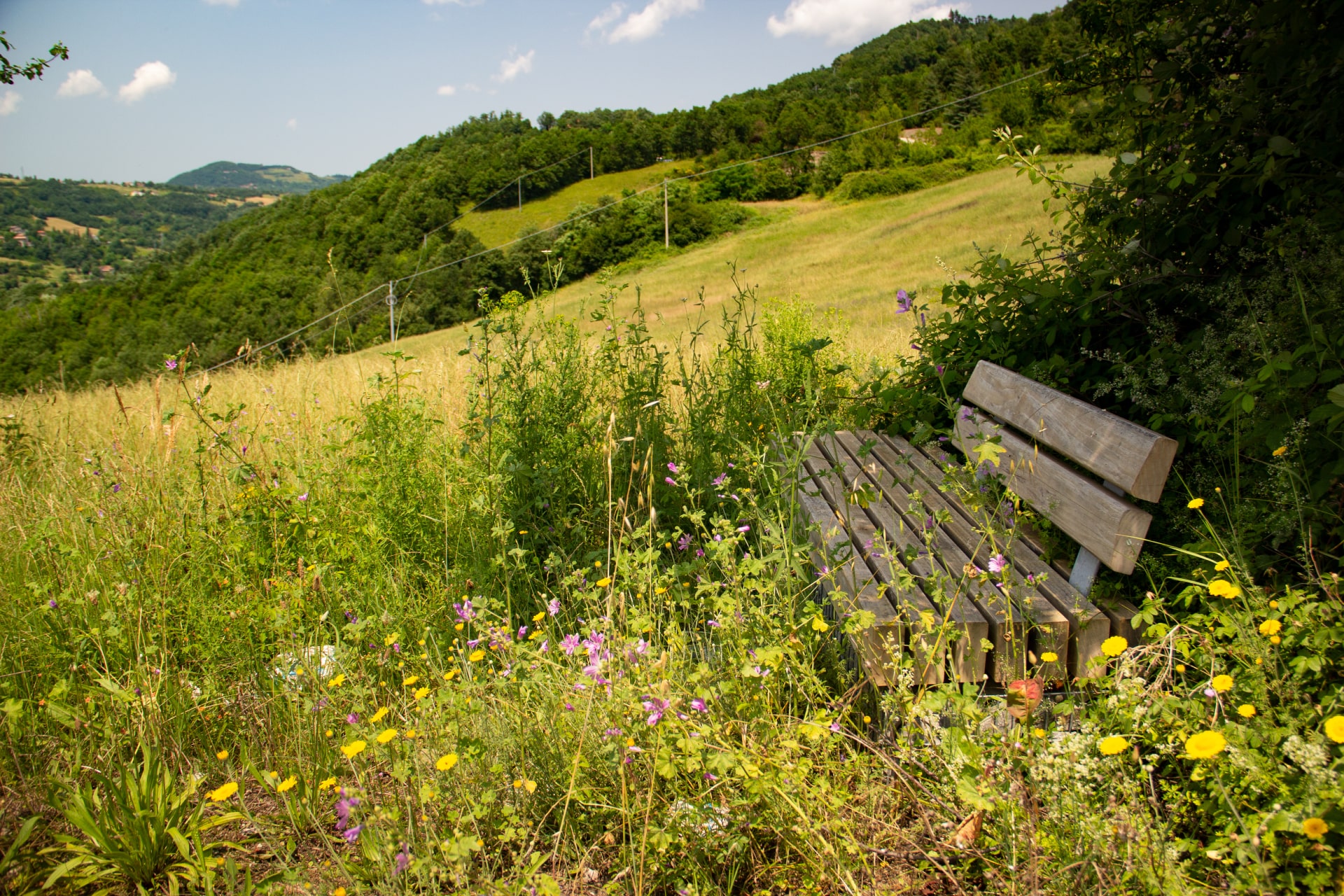 Passi di Quiete - Seconda Edizione - Meraki - Panorama - Foto Maya De Bernardi
