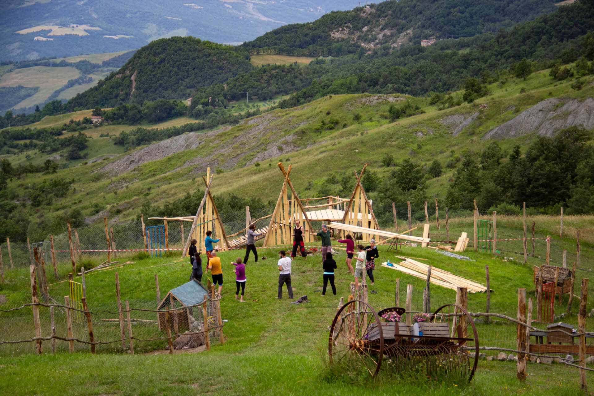 Passi di Quiete - Seconda Edizione - Qi Gong all'Albero della Vita- Foto Maya De Bernardi