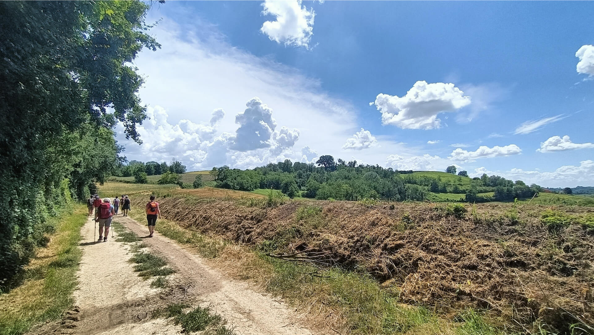 In cammino verso Chieri