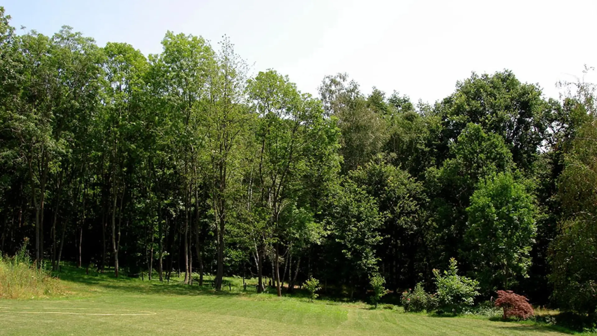 Terre di Oropan - Bosco