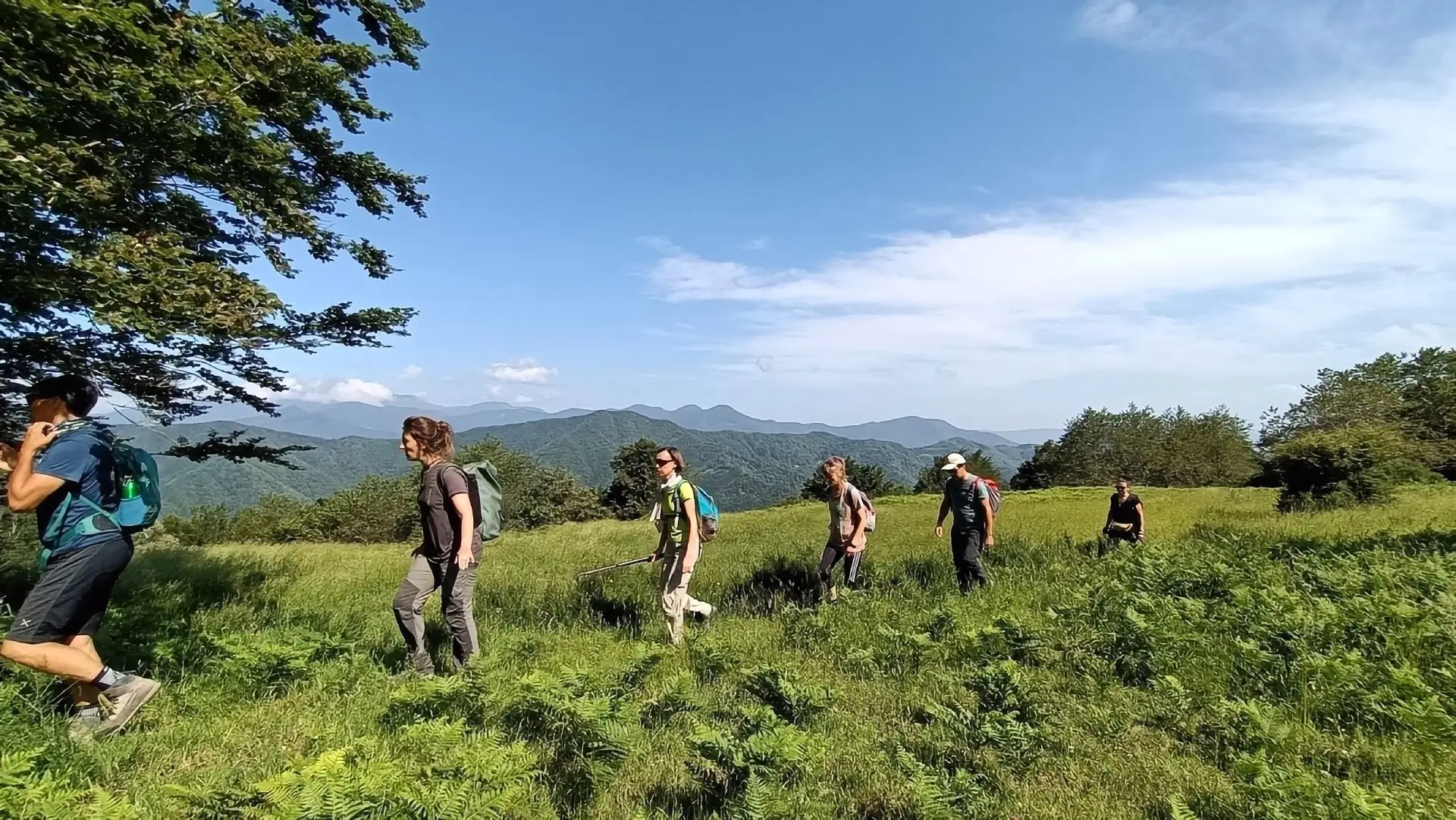 Valle degli Elfi - In cammino