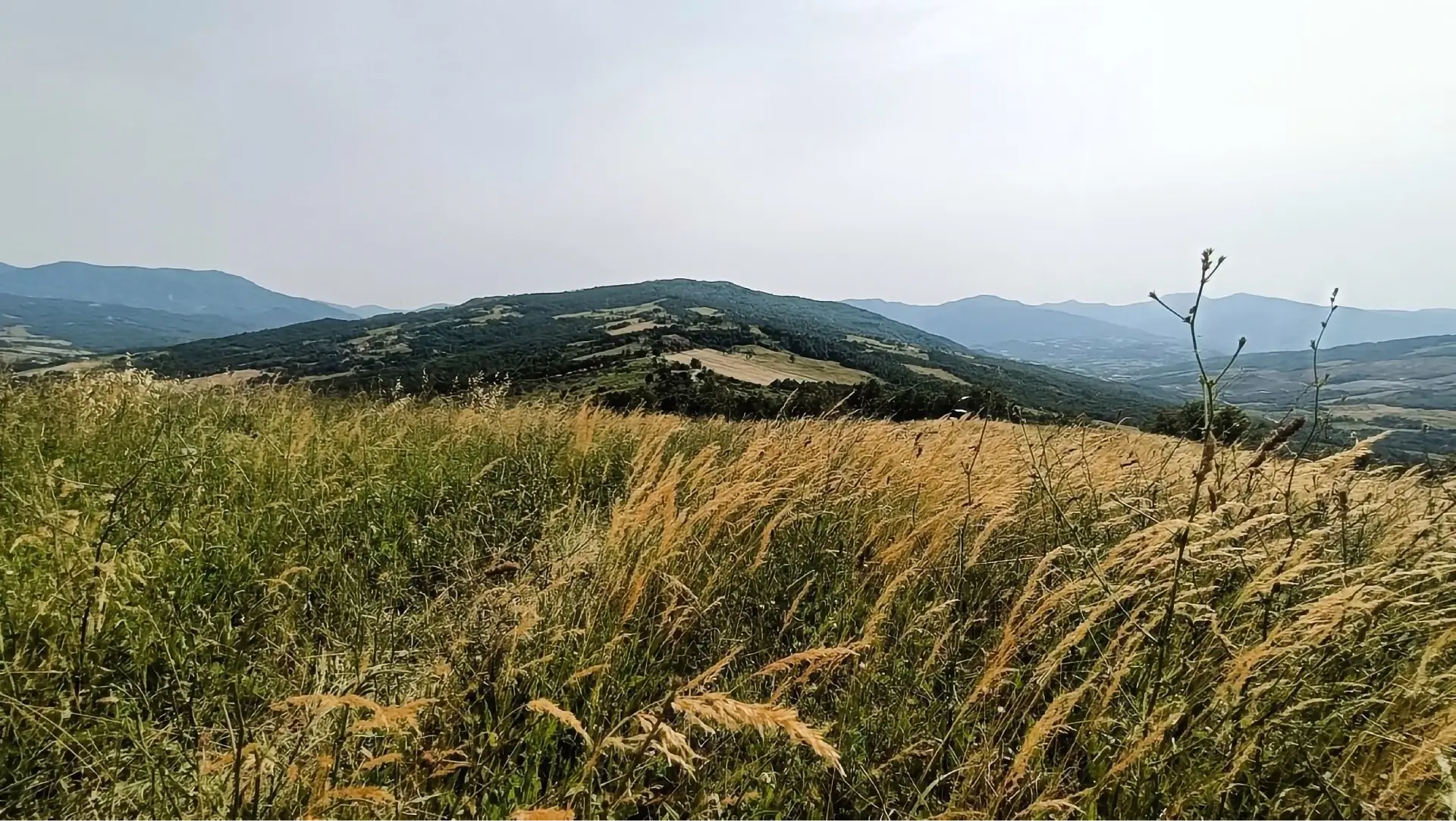 Valle degli Elfi - Panorama